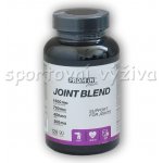 Prom-In Joint Blend 90 tablet – Hledejceny.cz