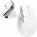 Trust Bayo II Ergonomic Wireless Mouse 25398 – Zboží Živě