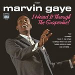 I Heard It Through The Grapevine - Marvin Gaye LP – Hledejceny.cz