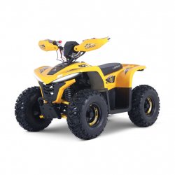 Lamax eBumbleBee ATV60M