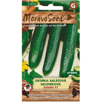 Nohel Garden Okurka salátová SALADIN F1 - hybrid, do skleníku 64201 – Zboží Mobilmania
