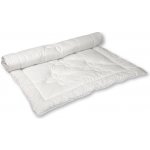 2G Lipov Ultra hřejivá přikrývka Dreamfill 140x220 – Zboží Dáma