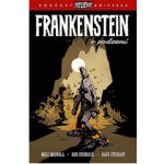 Frankenstein v podzemí - Mike Mignola – Hledejceny.cz