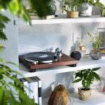 Audio-Technica AT-LPW50BTRW – Zboží Živě