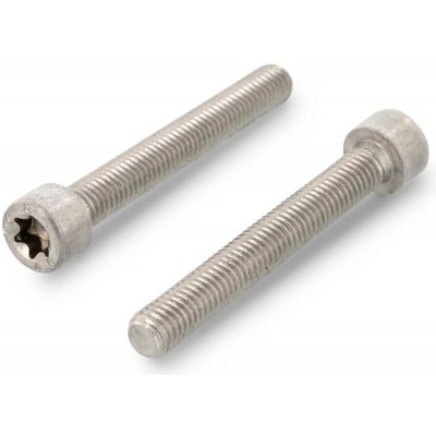 INOX ISO 14579 imbus šroub s válcovou hlavou na TORX, nerez A4 Varianta: ISO 14579 imbus šroub s válcovou hlavou na TORX, nerez A4-70 M3X4 TX10 – Sleviste.cz