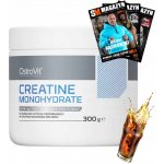 OSTROVIT Creatine 300 g – Hledejceny.cz