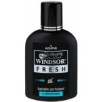 Windsor Fresh balzám po holení 100 ml – Zbozi.Blesk.cz