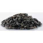 Biostan Slunečnice černá 0,5 kg – Sleviste.cz