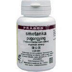 Sinecura Smetánka Pugongying extrakt 20 g – Hledejceny.cz