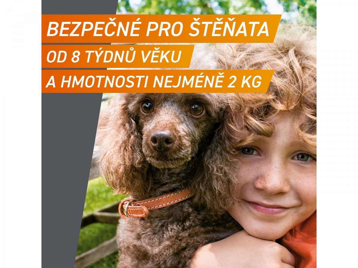 Bezpečné pro štěňata a březí i kojící feny