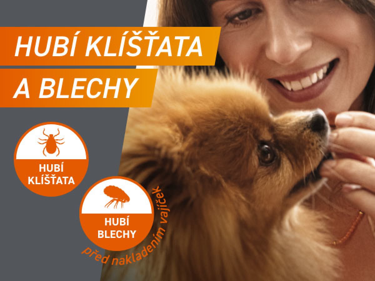 Zabíjí klíšťata i blechy