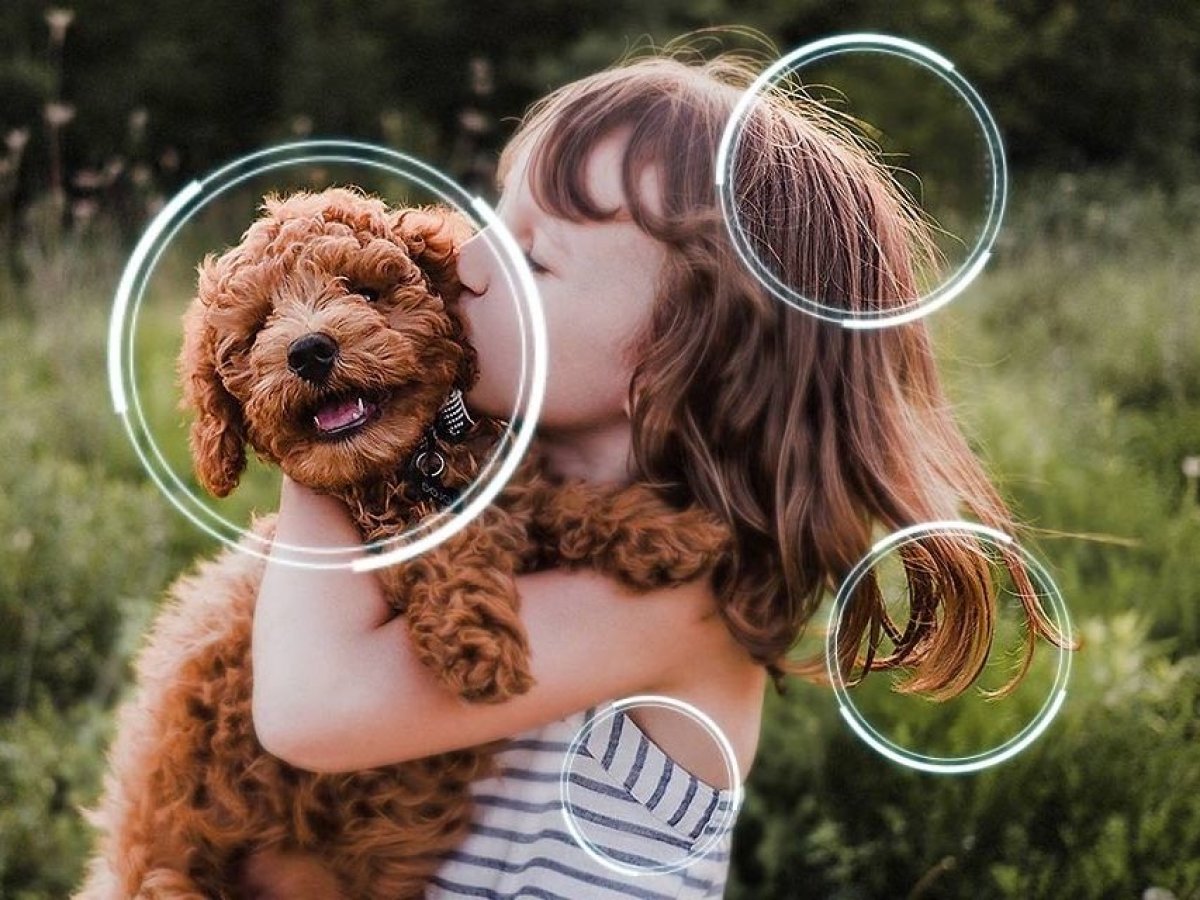 Procesor, který se postará o každý detail