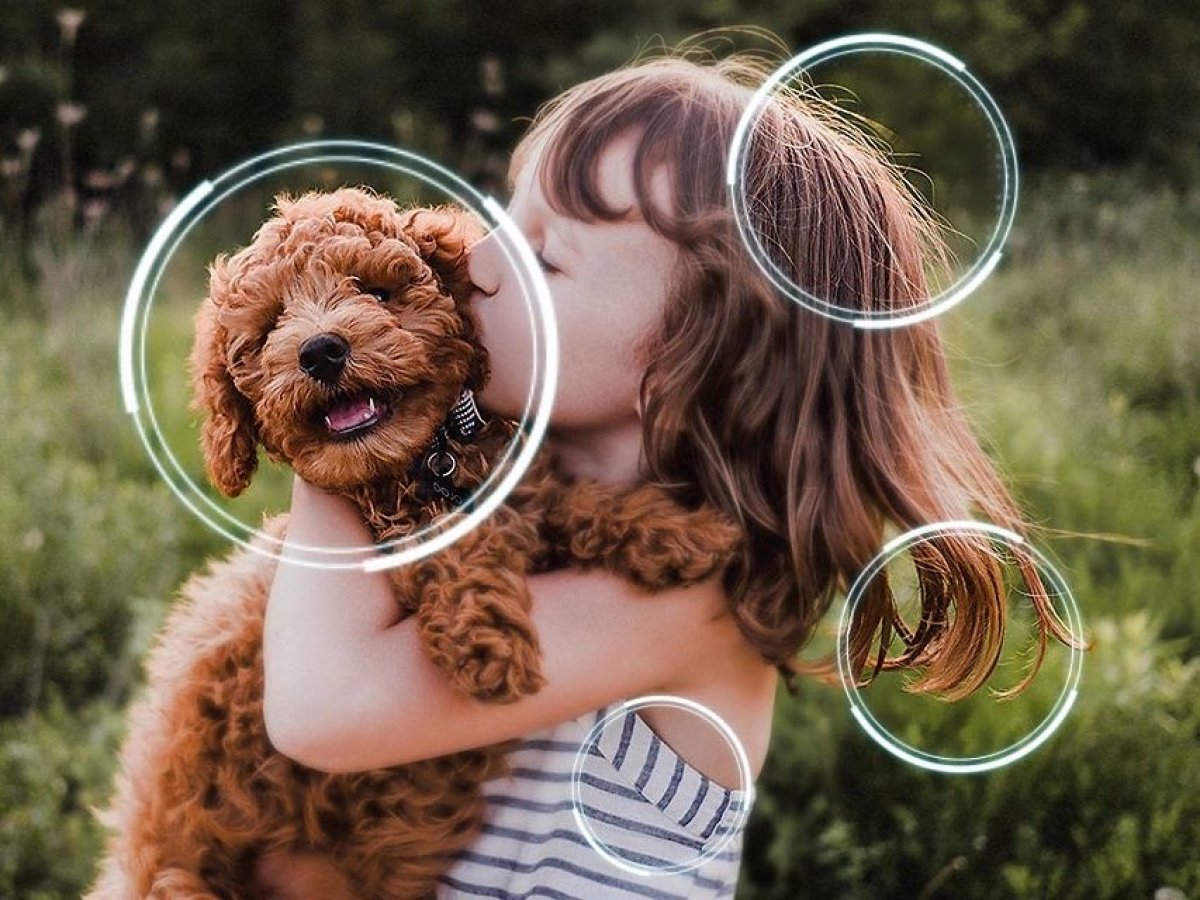 Obraz v nejvyšší kvalitě