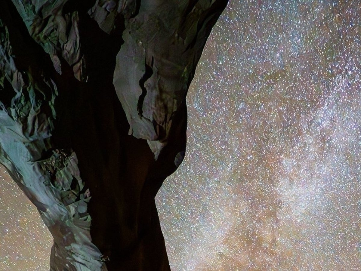 Displej, který bere dech