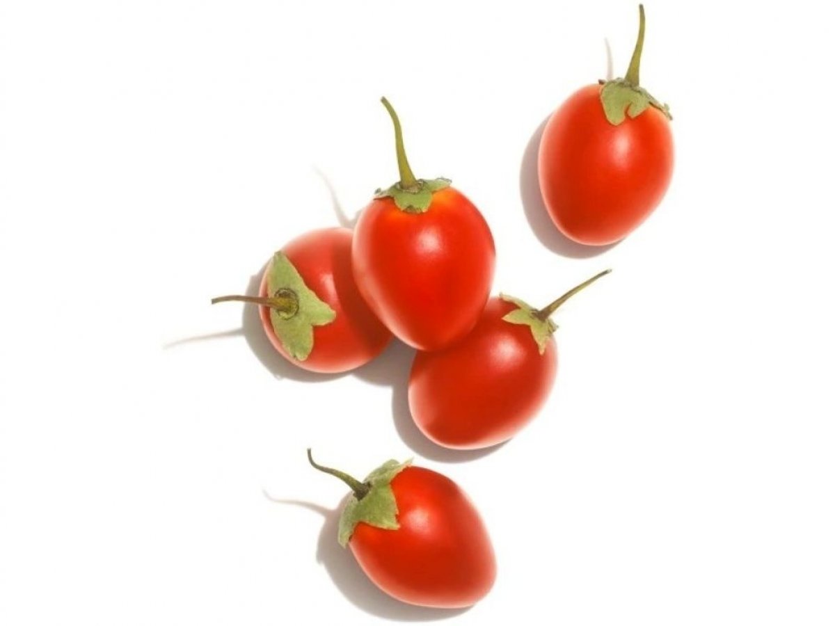 Výživa z přírody