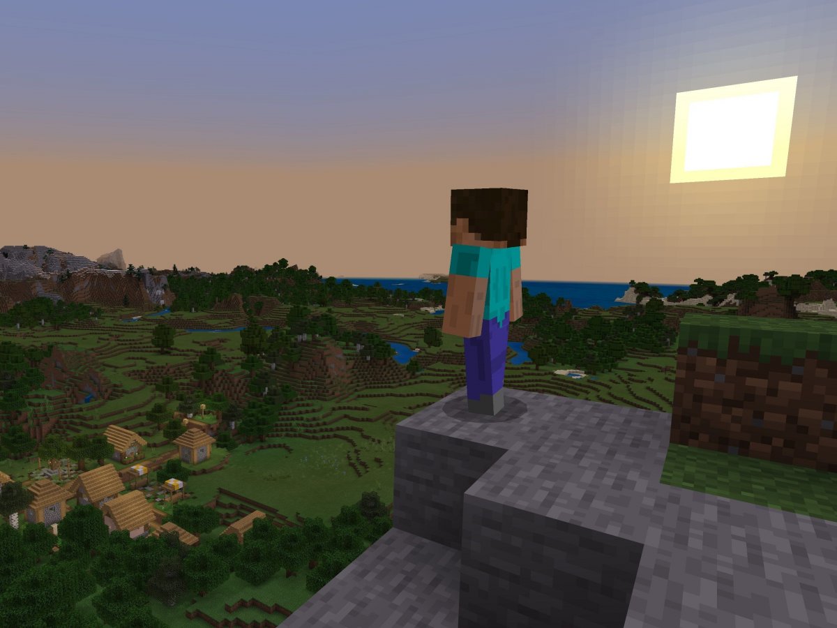Rozmanitost Java a Bedrock Edition