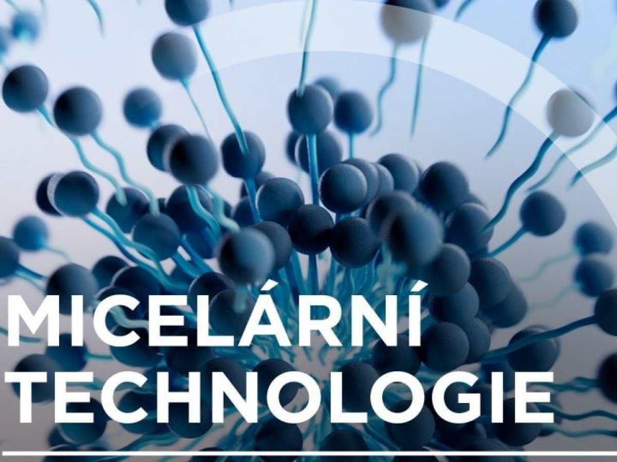 Technologie micel