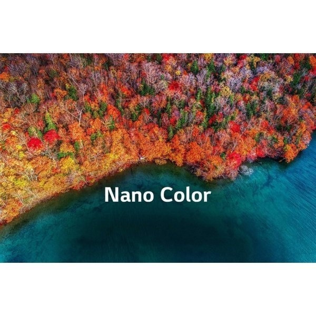 Živé barvy s Nano Cell