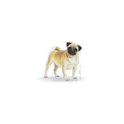 Royal canin Breed Mops 1,5kg - Dobrá miska