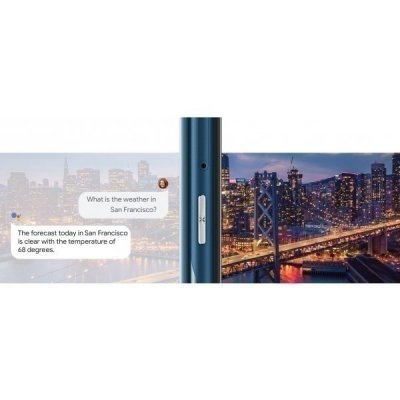 Google Assistant