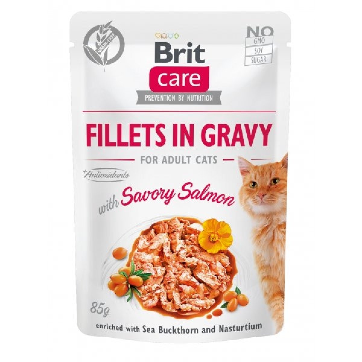 Brit Care Cat Fillets in Gravy with Savory Salmon 85 g od 18 Kč - Heureka.cz