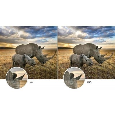 Živá příroda v obýváku