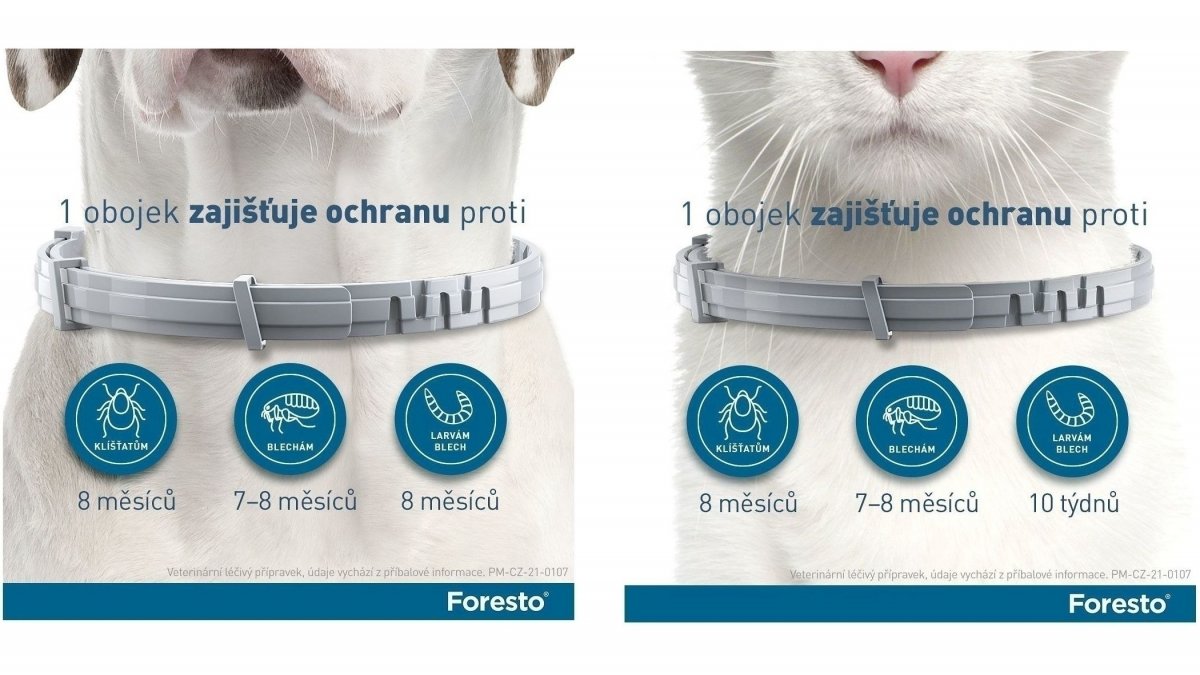 Foresto obojek pro malé psy a kočky do 8 kg 38 cm | MontyPet.cz
