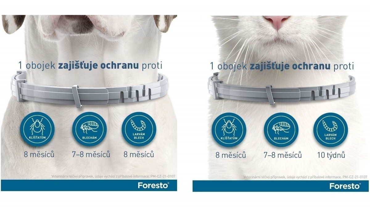 Foresto obojek pro malé psy a kočky do 8 kg 38 cm od 525 Kč - Heureka.cz