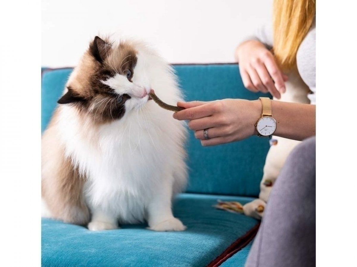 Veterinární přípravek pro psy a kočky