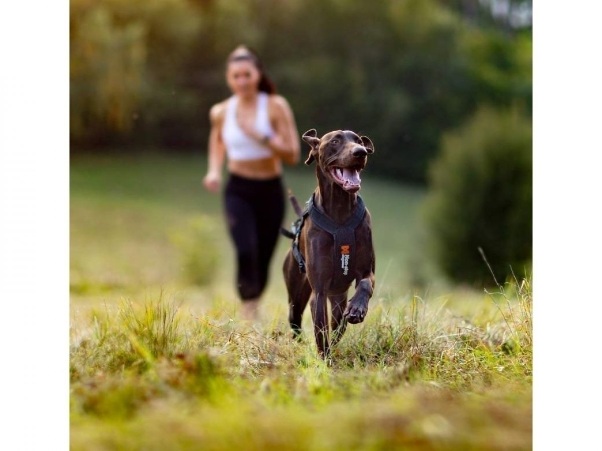 Geloren DOG má široké spektrum účinků