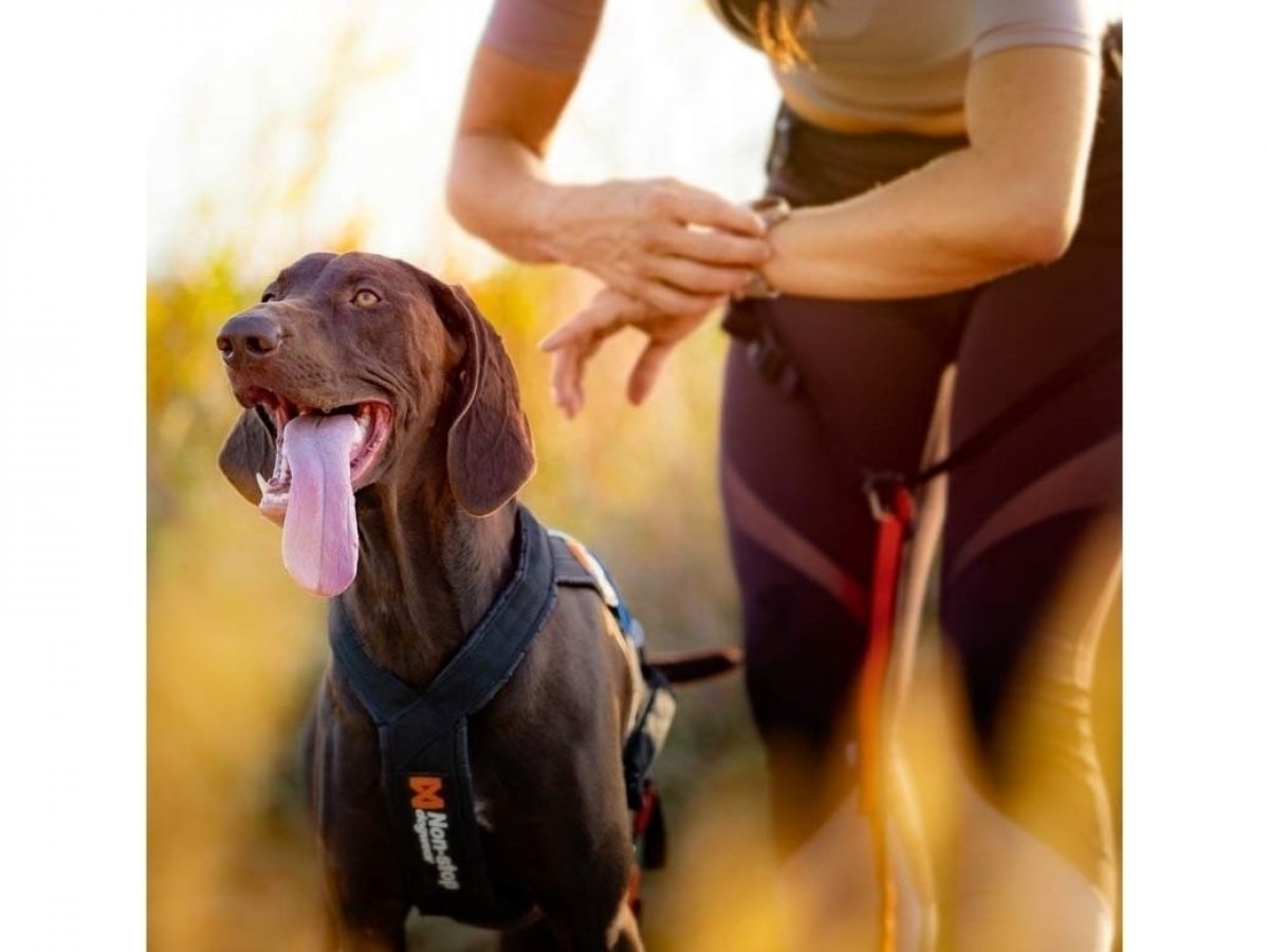 Obsahuje vyváženou směs aktivních látek