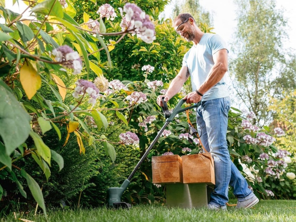 Tulipány i stromy zůstanou nedotčené