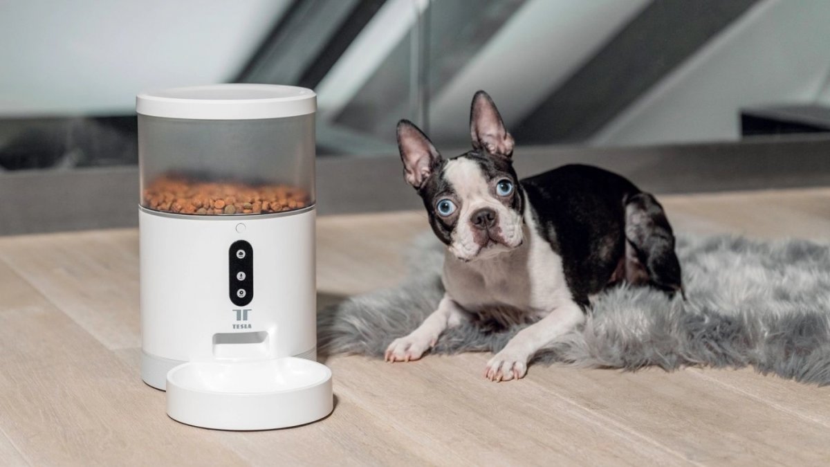 TESLA Smart Pet Feeder TSL-PC-BL4 4 l