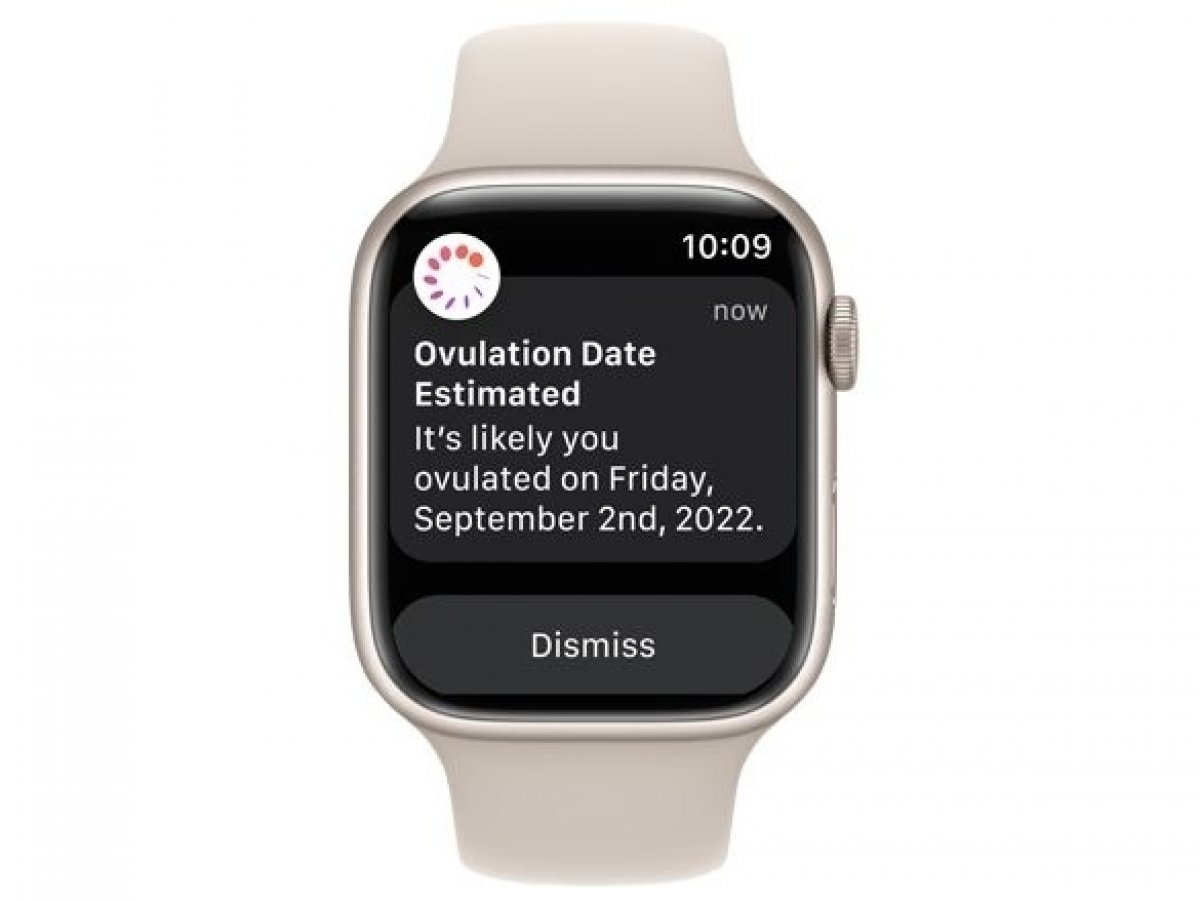 Apple Watch Series 8 Cellular 45mm od 10 990 Kč - Heureka.cz