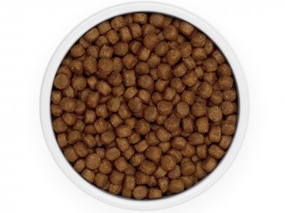 Optimální dávka energie na celý den