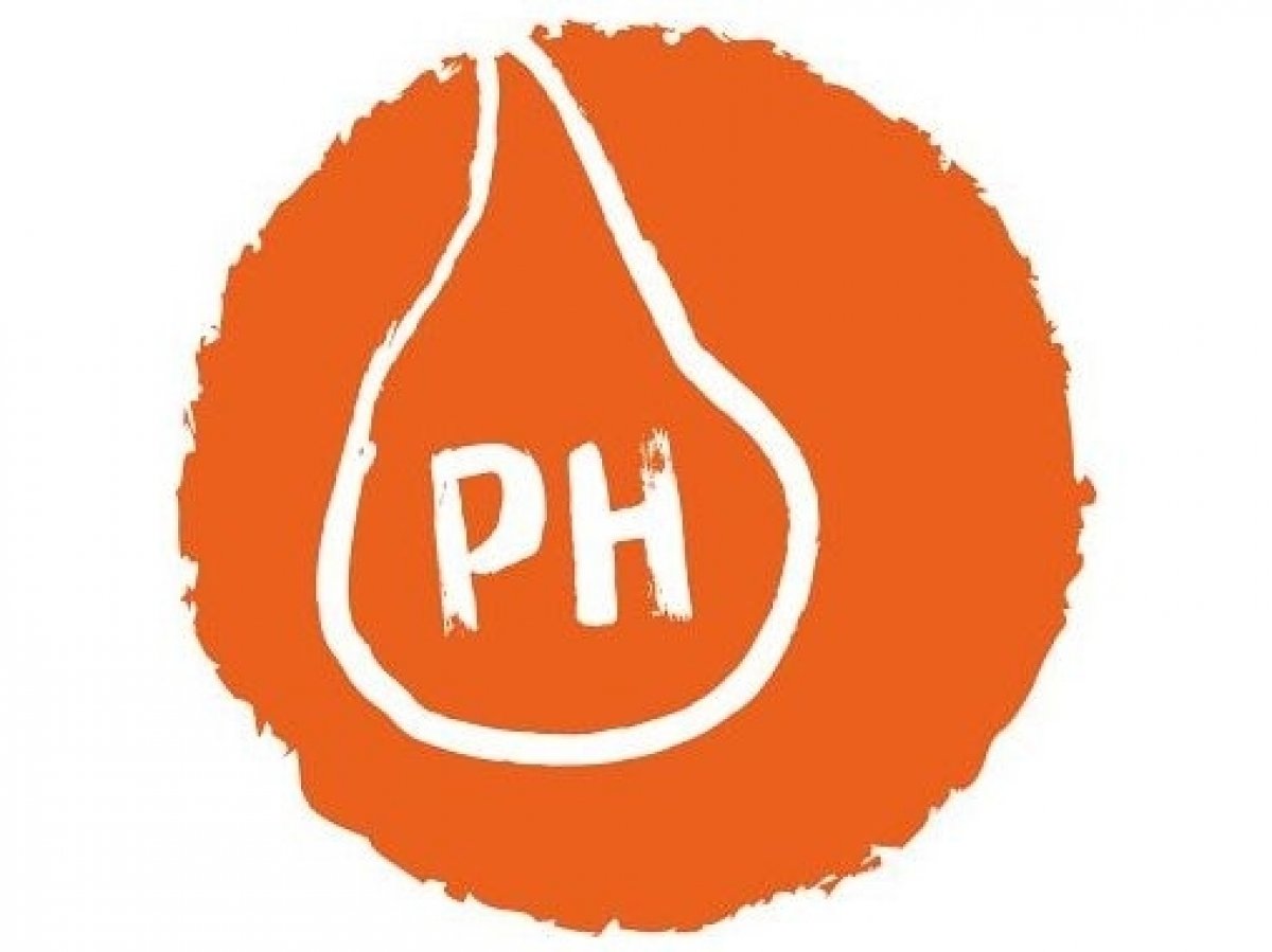 Regulace pH moči