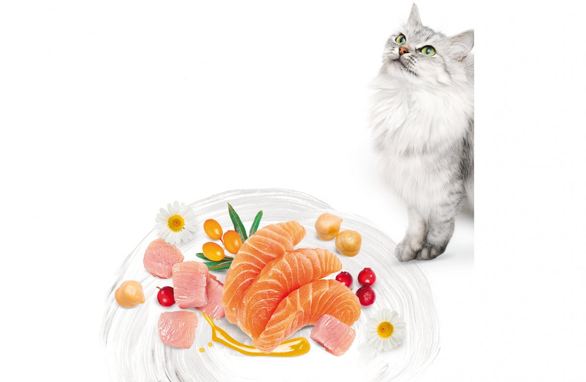 Lesklá a zdravá srst