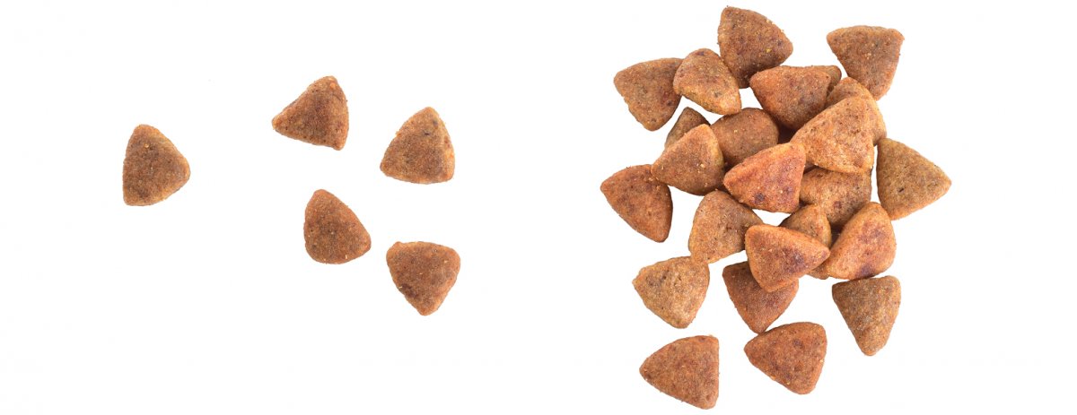 Pro správné zažívání