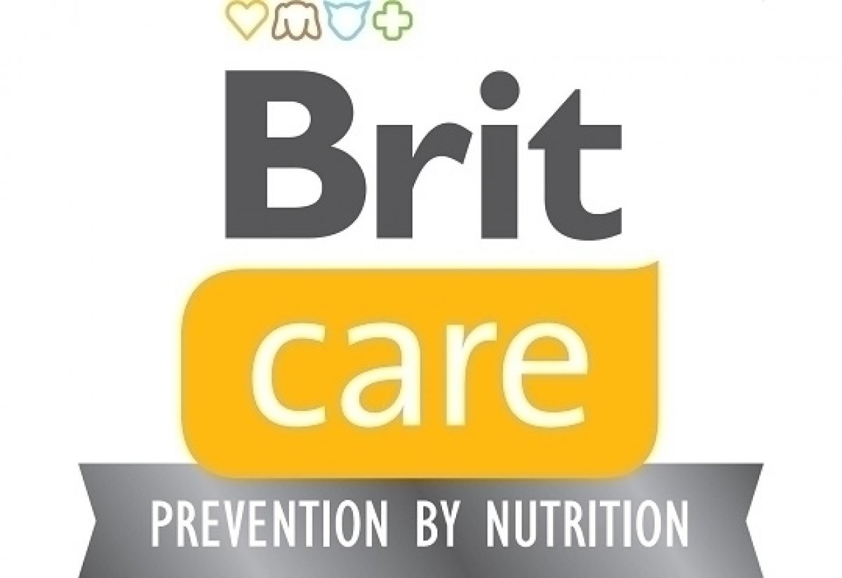 Prémiové složení