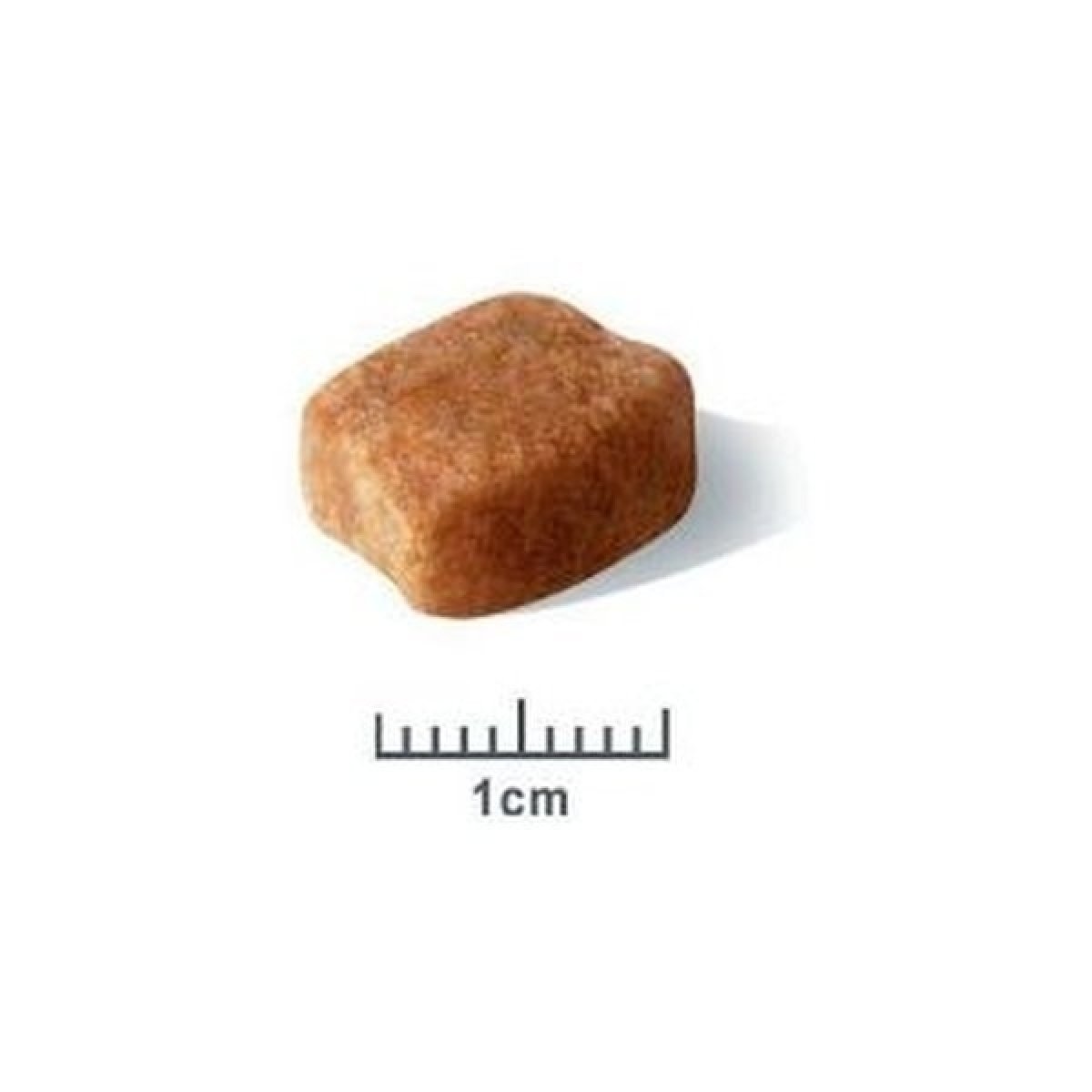 Royal canin dachshund 7.5 hot sale kg