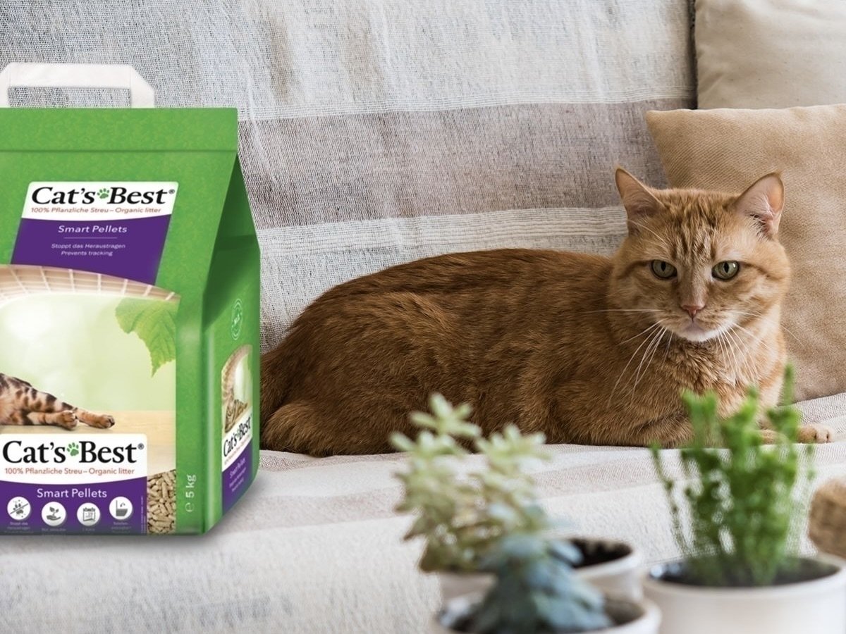 Cat's best smart pellets discount