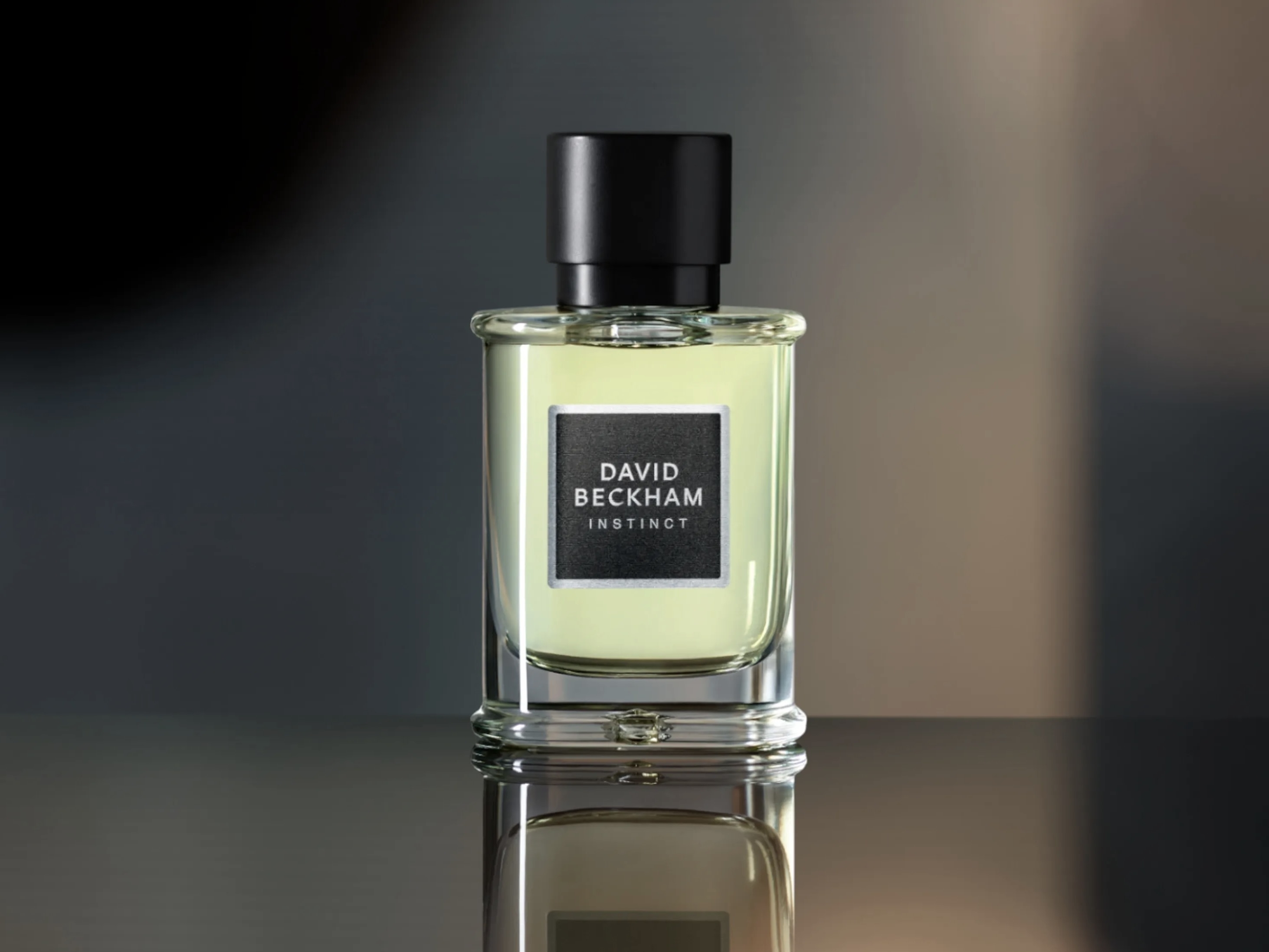 David Beckham Instinct toaletní voda pánská 30 ml od 468 Kč