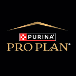 Pro Plan