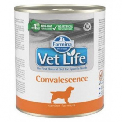 Vet Life Natural Dog konz. Convalescence 300g