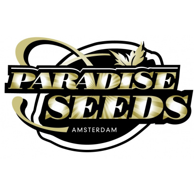 Paradise seeds Nebula II CBD Počet ks Feminizované: 10