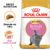 Royal canin RC cat KITTEN BRITISH shorthair - granule pro britská krátkosrstá koťata - 400g