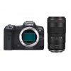 Canon EOS R5 + RF 100 mm f/2,8 L Macro IS USM