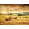 WEBLUX Fototapeta plátno Field of freshly bales of hay with beautiful sunset - 31838189 Pole čerstvých balíků sena s krásným západem slunce, 330 x 244 cm