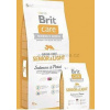 Brit Care Dog Grain-free Senior Salmon & Potato 12kg