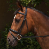 Requisite Padded Flash Bridle and Reins Black Cob